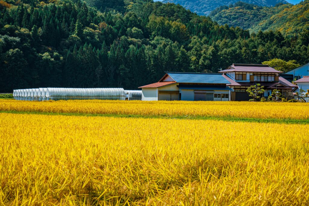 億万長者農家の資産を守り増やす戦略