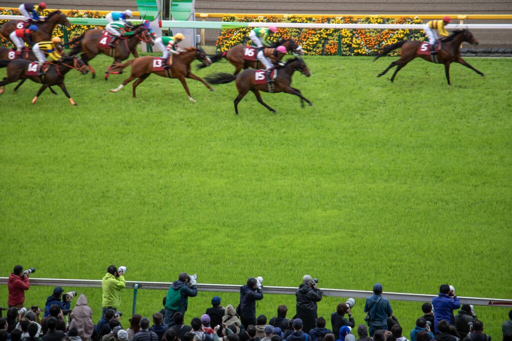 成功するギャンブルの選び方について